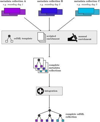 odMLtables: A User-Friendly Approach for Managing Metadata of Neurophysiological Experiments